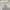 Spao Vintage Casual Windbreaker Pria gray photo 2