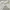 Spao Vintage Casual Windbreaker Pria Gray