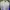 Puma Casual Track jacket Pria green gray photo 5