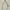 Luxury Fairy Wanita green photo 1