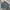Vintage Windbreaker Pria navy photo 1