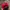 Vintage Y2K Hat Pria burgundy red photo 2