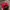 Vintage Y2K Hat Pria Burgundy Red