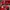 Vintage Y2K Hat Pria burgundy red photo 6