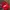 Vintage Y2K Hat Pria burgundy red photo 4
