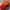 Sportswear Hat Pria orange photo 2