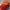Sportswear Hat Pria Orange