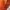 Sportswear Hat Pria orange photo 5