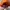 Sportswear Hat Pria orange photo 3