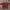 Nike Vintage Y2K Polo shirt Pria red photo 1