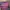 COLORBOX Y2K Coquette Crop top Wanita pink blue photo 2