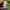 The North Face Streetwear Sportswear Windbreaker Pria green photo 5