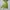 The North Face Streetwear Sportswear Windbreaker Pria green photo 1