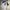 Pancoat Luxury T-shirt Pria white photo 2