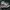Compass Streetwear Y2K Sneakers Pria white black photo 1