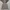 Uniqlo Gorpcore Sportswear Windbreaker Pria tan photo 2
