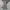 Uniqlo Gorpcore Sportswear Windbreaker Pria tan photo 1