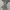Uniqlo Gorpcore Sportswear Windbreaker Pria Tan