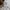Valentino Streetwear Luxury Windbreaker Pria white black photo 7