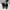 Adidas Sportswear Sneakers Pria blue photo 2