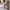 Fila Biker Trench coat Pria white red photo 5