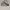 Adidas Casual Sneakers Pria white gray photo 1