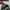 Adidas Casual Sneakers Pria white gray photo 5
