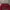 Dickies Vintage Casual Hoody Pria burgundy red photo 3