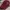 Nike Vintage Casual Hat Pria silver burgundy photo 1