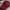 Nike Vintage Casual Hat Pria Silver Burgundy