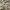 Burberry Luxury Casual shirt Pria multicolor photo 3