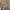 Burberry Luxury Casual shirt Pria multicolor photo 4