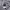 Streetwear Sportswear Windbreaker Pria gray photo 4