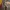 Louis Vuitton Minimalist Casual Backpack Wanita brown photo 2