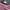 Japanese brand Streetwear Y2K T-shirt Pria multicolor photo 3