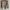 Polo Ralph Lauren Luxury Casual Harrington jacket Pria tan photo 5