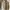 Polo Ralph Lauren Luxury Casual Harrington jacket Pria tan photo 4