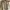 Polo Ralph Lauren Luxury Casual Harrington jacket Pria tan photo 3