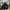 Converse Grunge Indie Puffer jacket Pria black photo 1