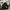 Converse Grunge Indie Puffer Jacket Pria Black