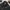 Converse Grunge Indie Puffer jacket Pria black photo 3