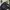 Mizuno Gorpcore Grunge Puffer jacket Pria black gray photo 3