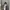 Minimalist Casual Wanita silver gray photo 1