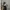 Y2K Goth Wanita black photo 1
