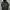 The North Face Casual Puffer jacket Pria black photo 1