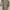 Guess Casual Polo shirt Pria tan photo 2