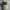 Airwalk Streetwear Sportswear Hat Wanita silver white photo 1