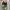 Nike Streetwear Sneakers Pria tan brown photo 2
