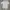 Vintage Streetwear T-shirt Pria white photo 6