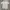 Vintage Streetwear T-shirt Pria white photo 1